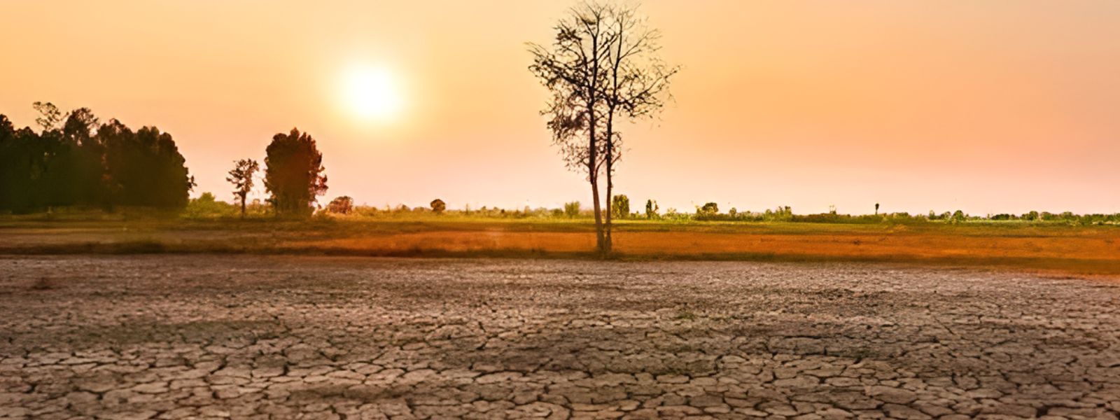 Dry Weather Impact Survey Begins